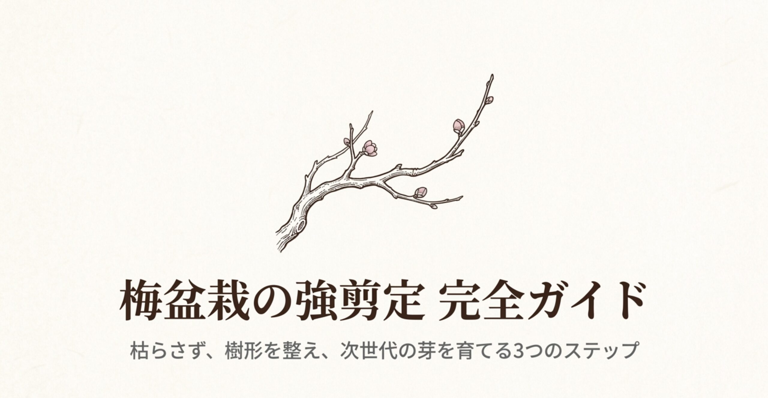 梅盆栽の強剪定完全ガイドと梅の花のイラスト