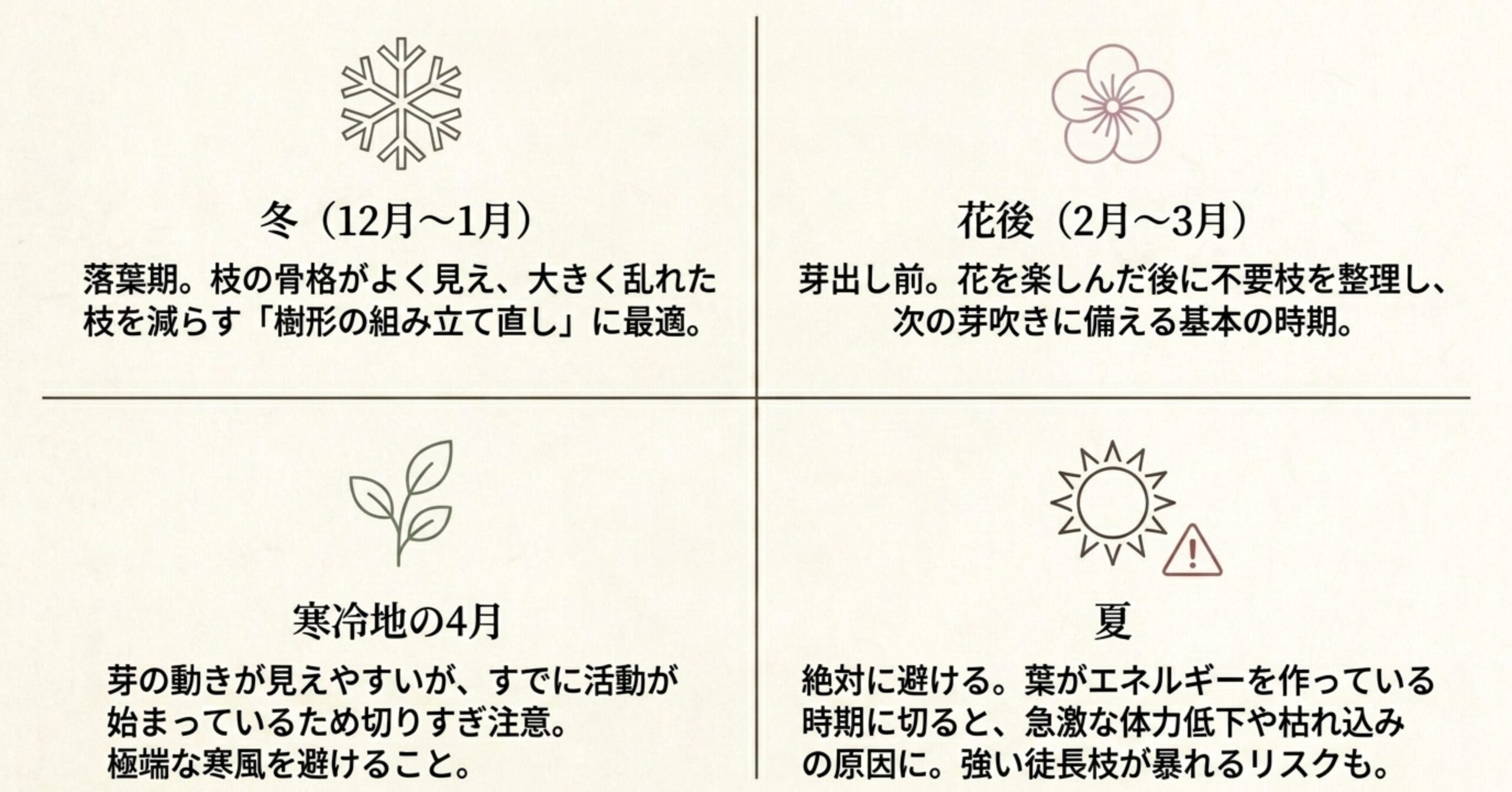 冬・花後・寒冷地の4月・夏における梅盆栽の剪定時期ごとの注意点まとめ