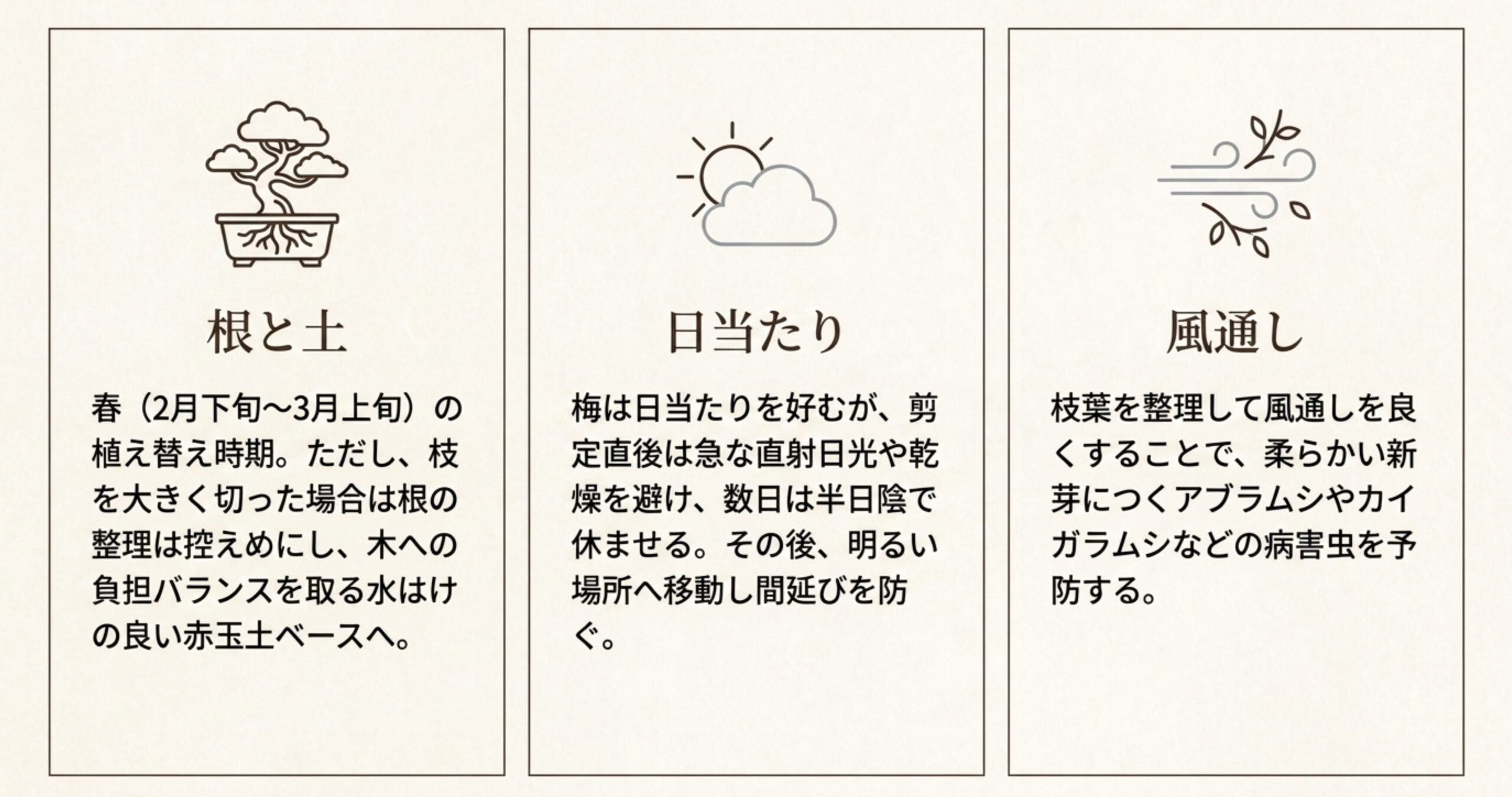 植え替え（根と土）、日当たり、風通しという術後管理の3つのポイント