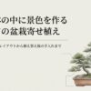 小さな鉢の中に景色を作る、はじめての盆栽寄せ植えの完成イメージイラスト