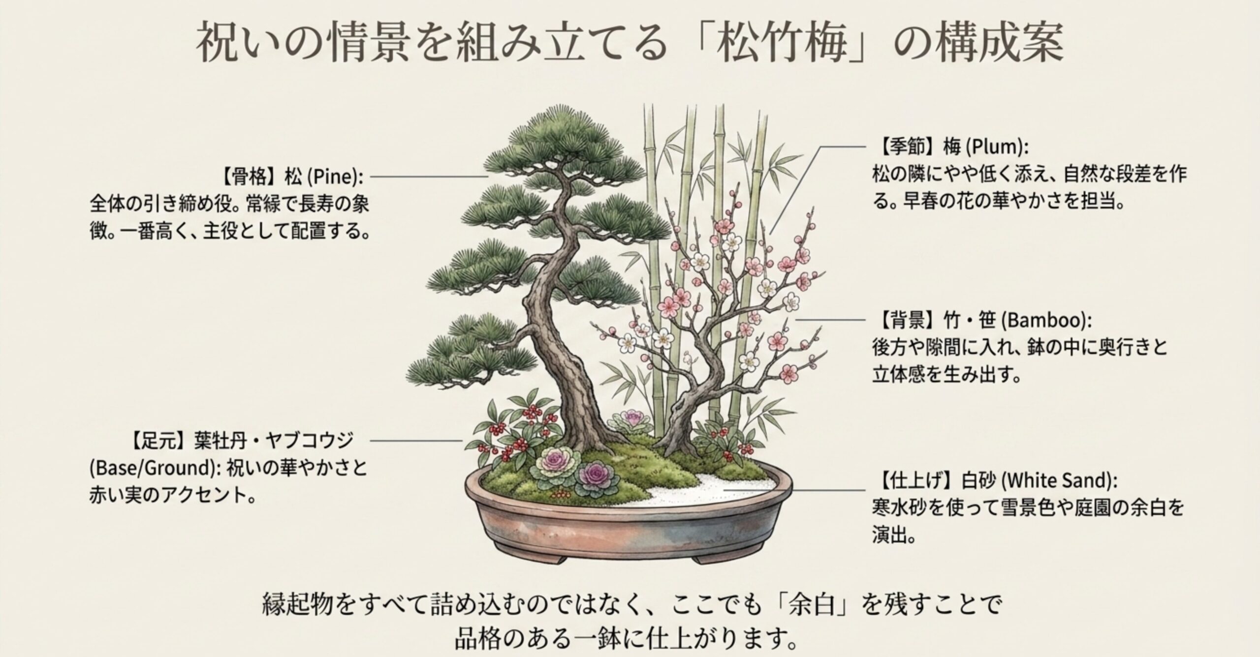 主役の松、季節感を出す梅、背景の竹・笹、足元の葉牡丹とヤブコウジ、仕上げの白砂を配置した松竹梅の寄せ植えイラスト