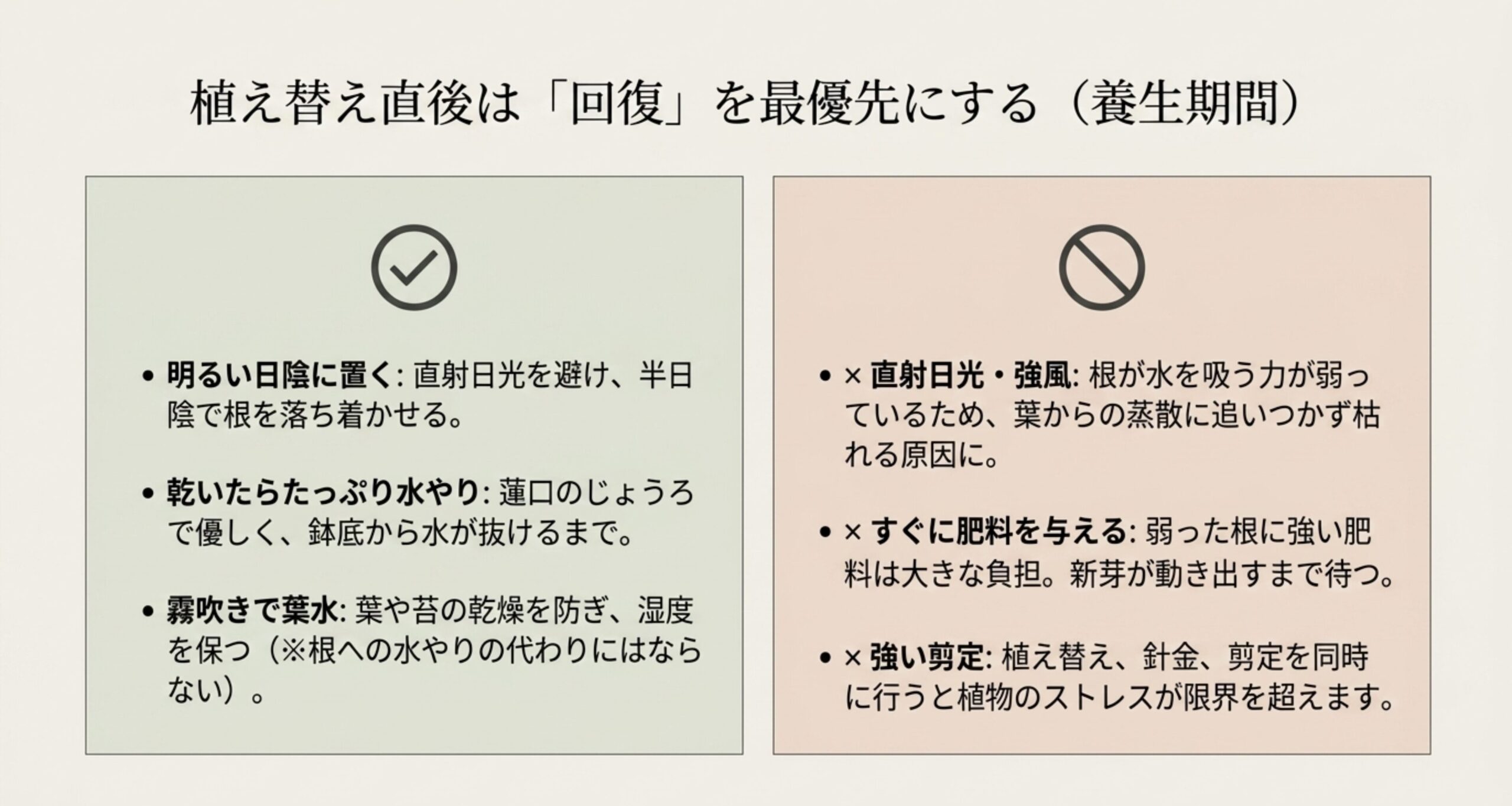 植え替え直後に明るい日陰に置くことや水やり・霧吹きのポイント、および直射日光・肥料・強い剪定などのNG行為の解説