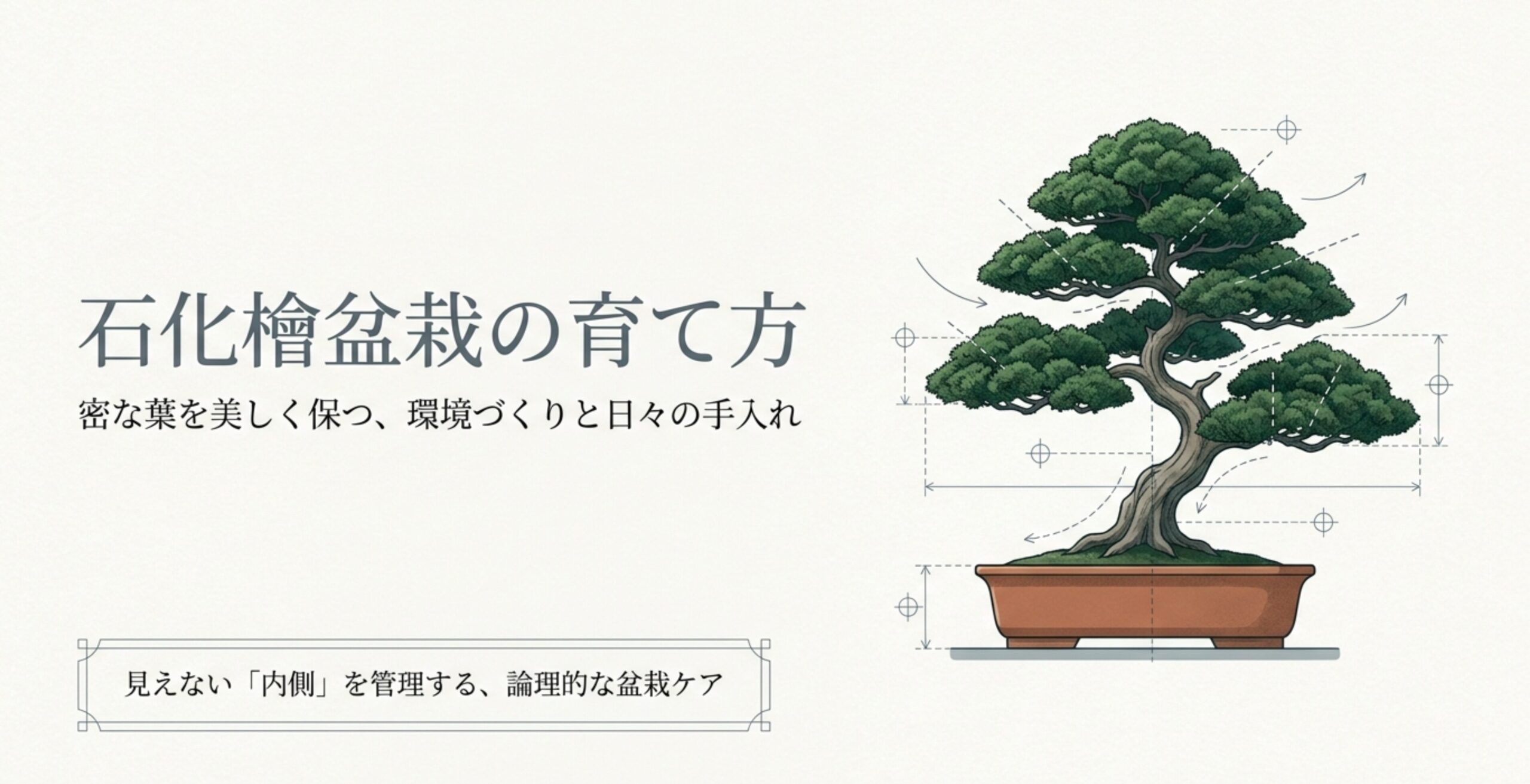 盆栽鉢に植えられた石化檜盆栽の全体図と、日々の手入れのポイントを示すイラスト