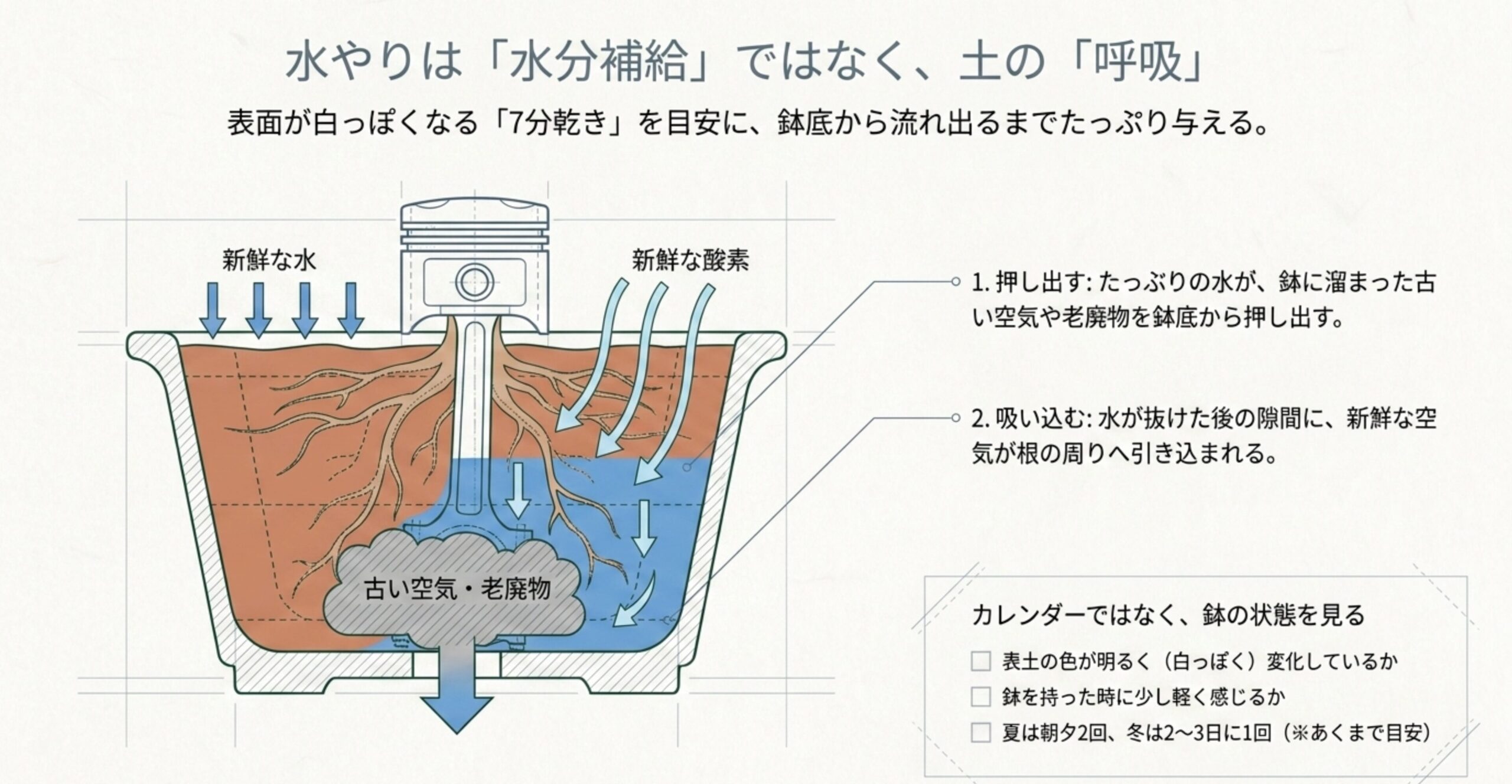 水やりによって鉢内の古い空気が鉢底から押し出され、新鮮な水と酸素が根に引き込まれる「土の呼吸」の仕組みの図解