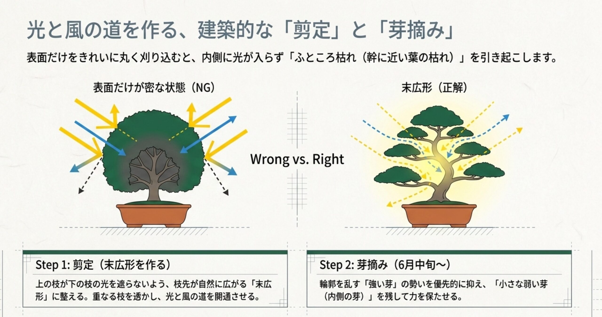 表面だけ刈り込んだNGな状態と、末広形に剪定して樹冠の内側まで光と風を通す正しい状態を比較した図