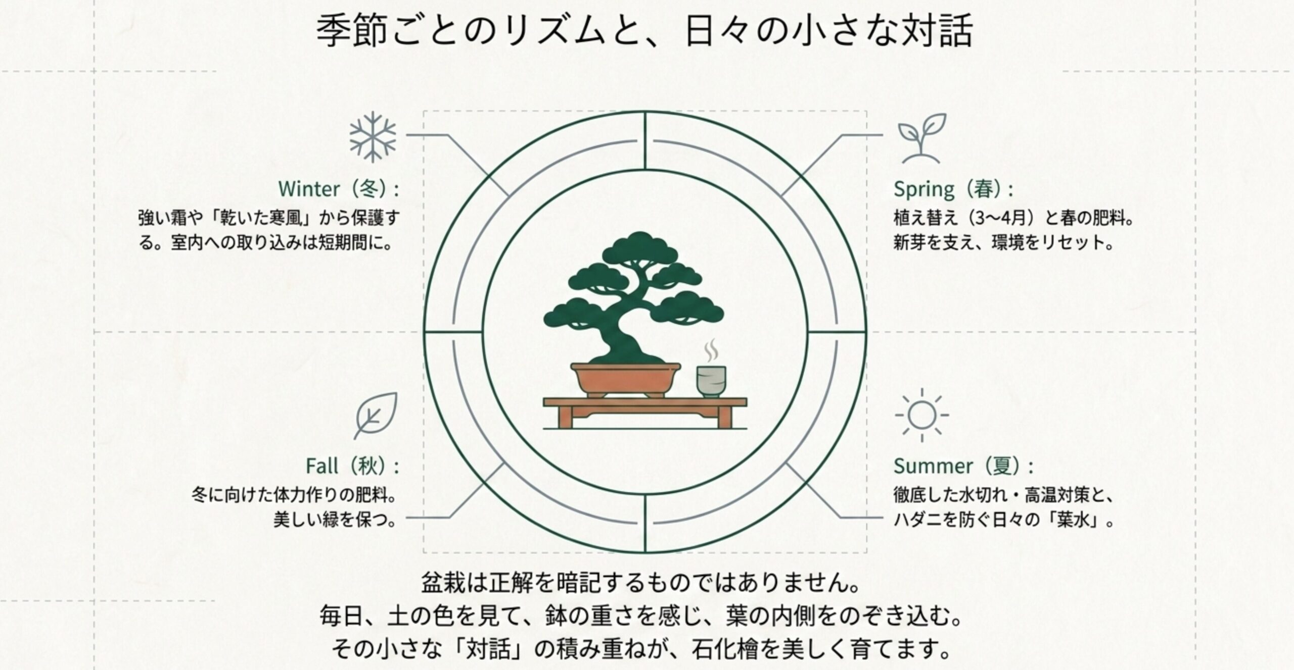 春の植え替え、夏の日よけ・葉水、秋の肥料、冬の寒風保護といった、1年間の石化檜盆栽の手入れサイクルを描いた図
