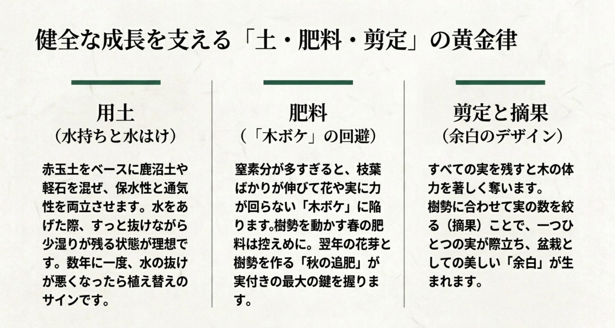 水持ちと水はけを両立する用土、木ボケを回避する肥料の与え方、余白をデザインする剪定と摘果の黄金律
