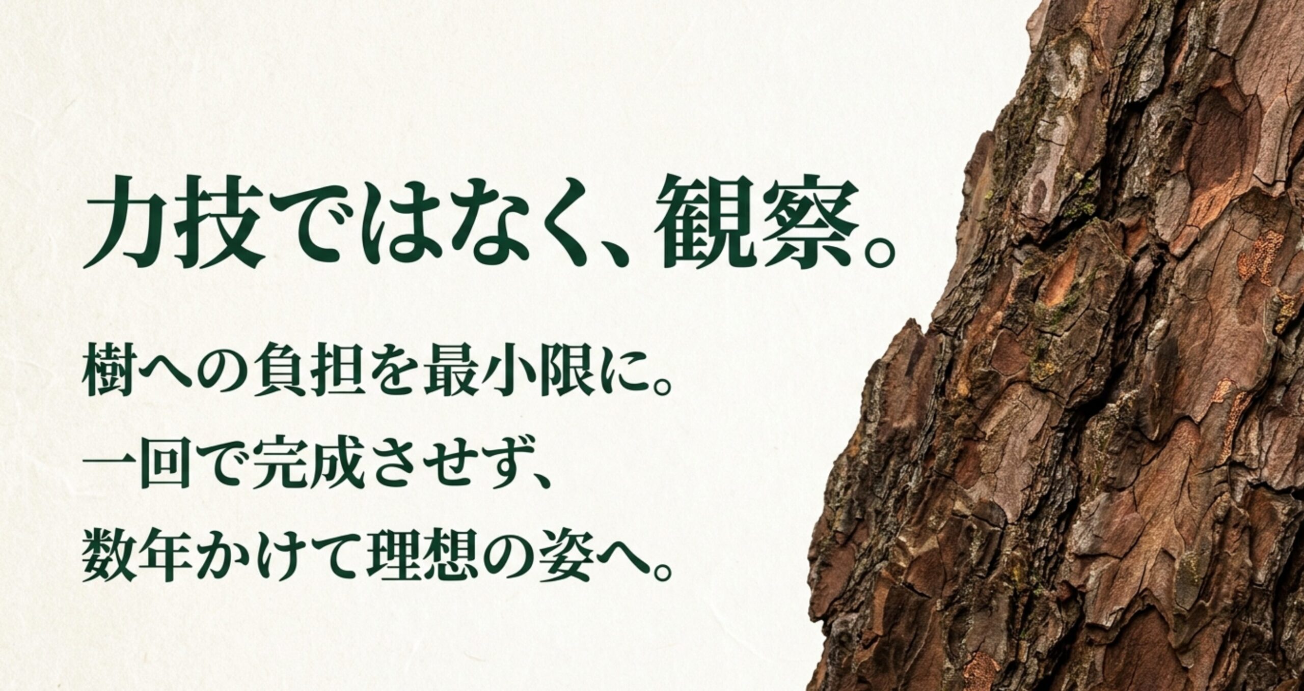 黒松盆栽の針金かけは力技ではなく観察を重視し、樹への負担を最小限に抑え数年かけて理想の姿へ近づけるという基本方針を説明するスライド