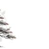 もみじ盆栽のイラストと「もみじ盆栽 針金掛けの基本 時期の見極めと、枝を傷めない手入れの要点」というテキストが書かれたスライド画像
