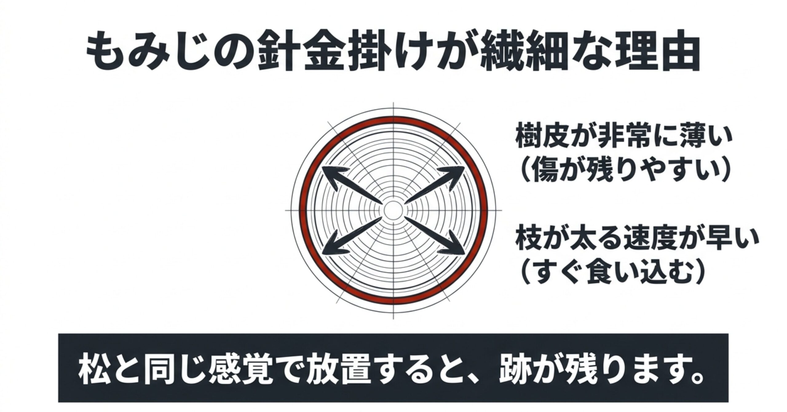 枝が太る様子を示す図解と、もみじの樹皮が薄く枝が太るのが早いため松と同じ感覚で放置すると跡が残るという解説が書かれたスライド