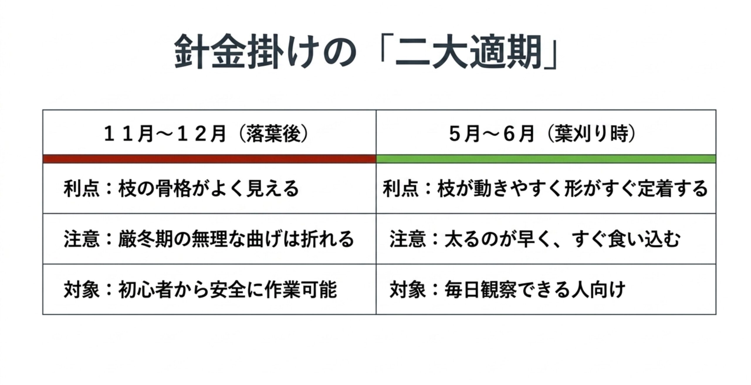 針金掛けの適期である11月〜12月（落葉後）と5月〜6月（葉刈り時）のそれぞれの利点と注意点、および対象者を比較した表スライド