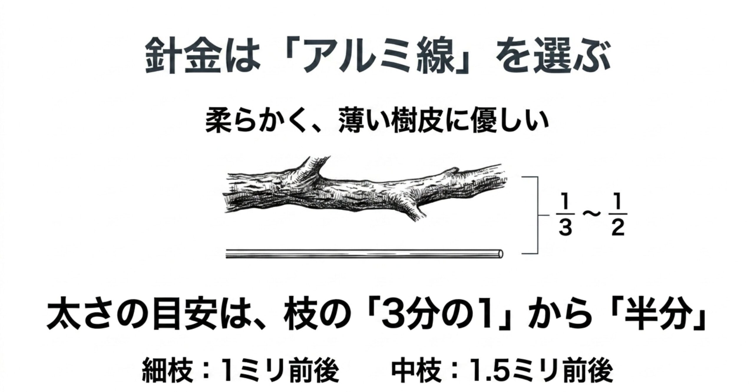 枝とアルミ線のイラストがあり、薄い樹皮に優しいアルミ線を選ぶことと、太さの目安は枝の3分の1から半分であると解説されたスライド