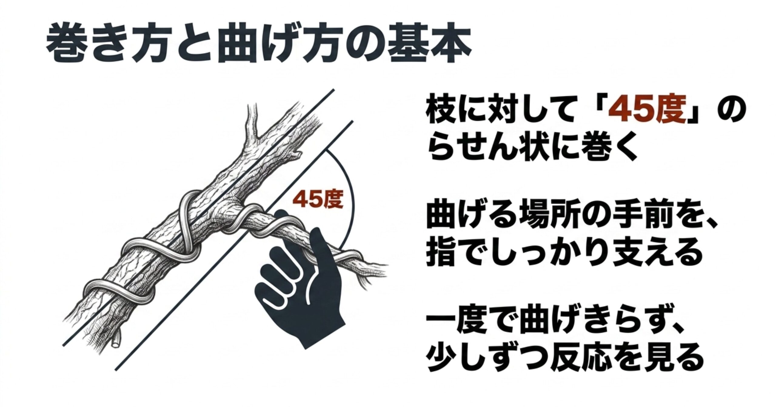 枝に45度の角度で針金を巻く様子と、曲げる場所の手前を指でしっかり支える様子を描いたイラスト付きの解説スライド