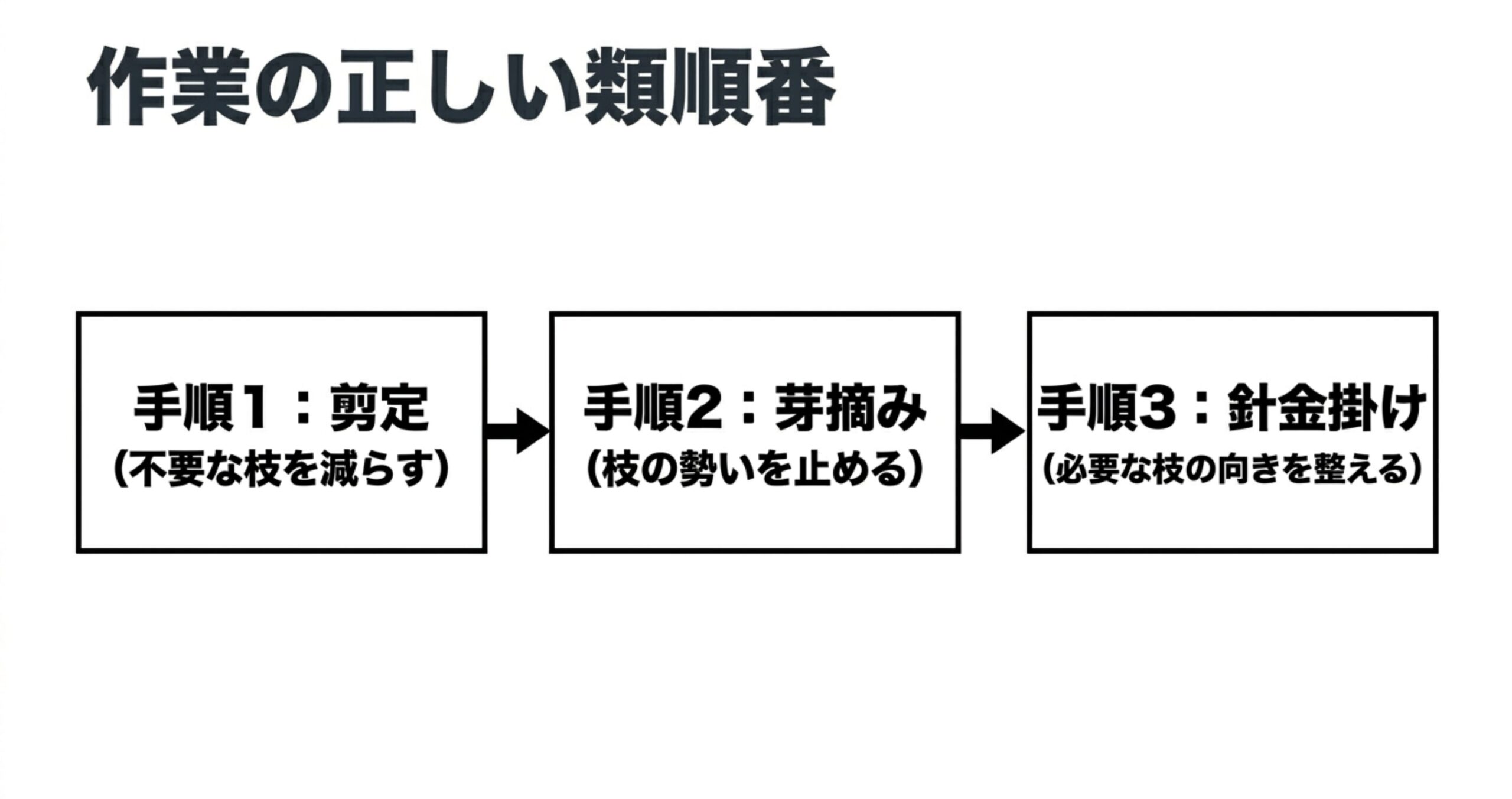 手順1に不要な枝を減らす剪定、手順2に枝の勢いを止める芽摘み、手順3に必要な枝の向きを整える針金掛けという、正しい作業手順が示されたスライド