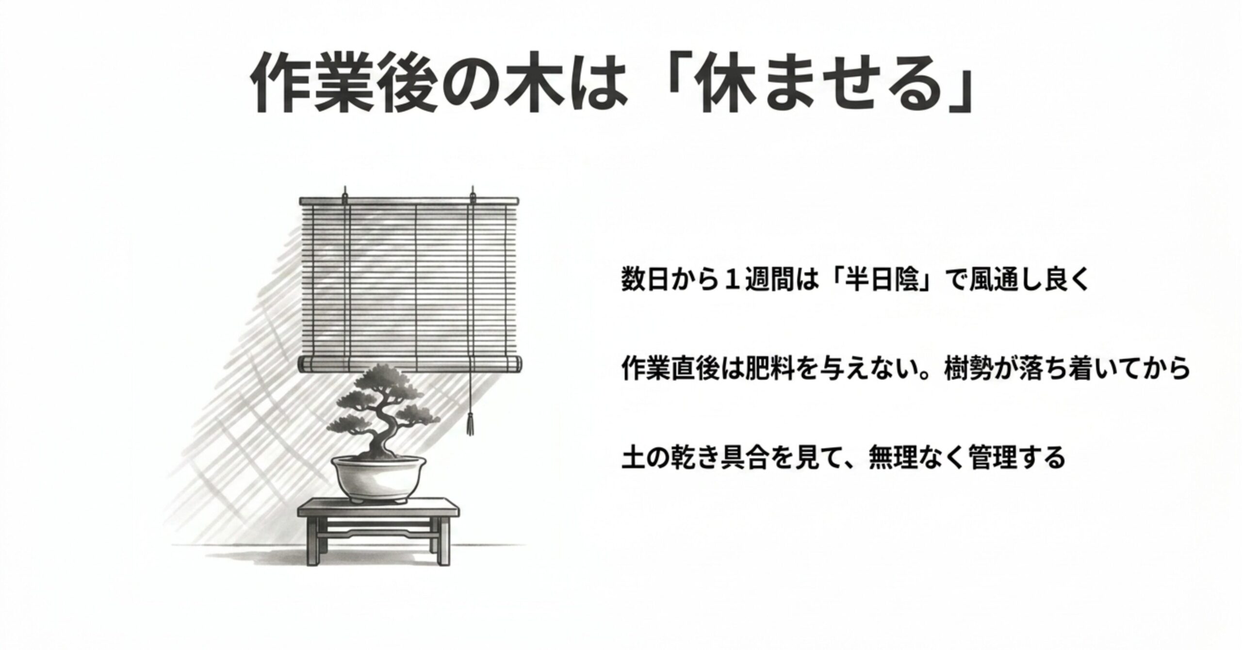 すだれの下に置かれた盆栽のイラストとともに、作業後の数日から1週間は半日陰で休ませ、肥料は樹勢が落ち着いてから与えるという管理方法が書かれたスライド