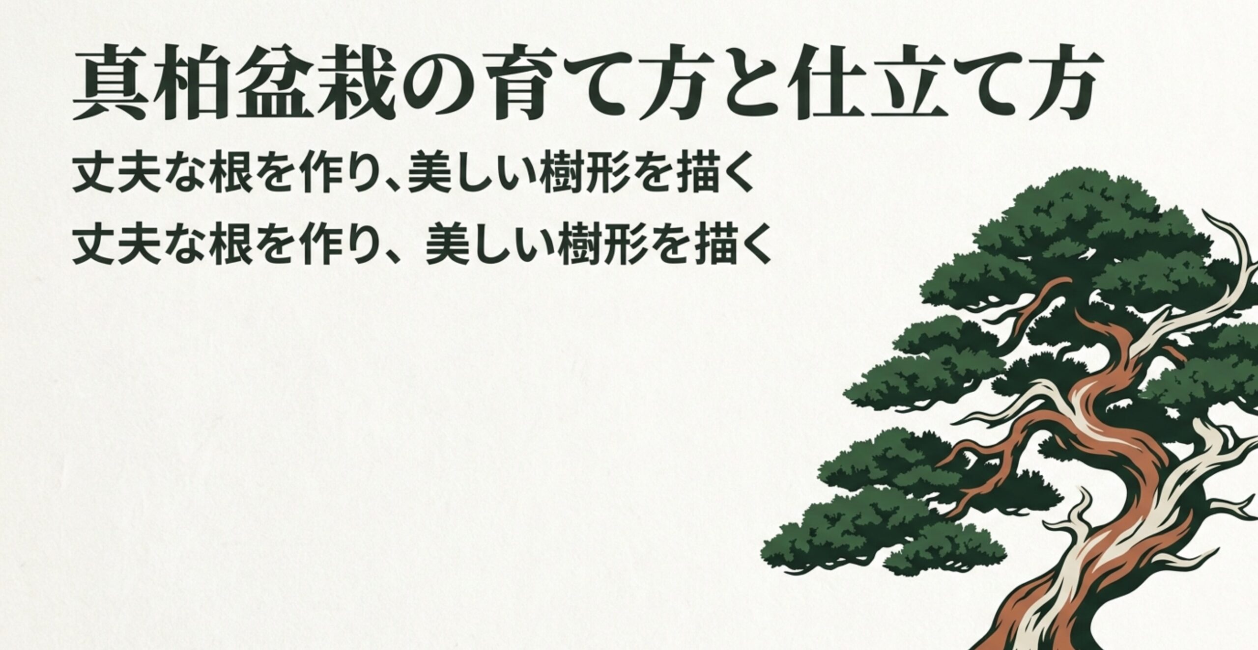 真柏盆栽の育て方と仕立て方のイメージイラスト