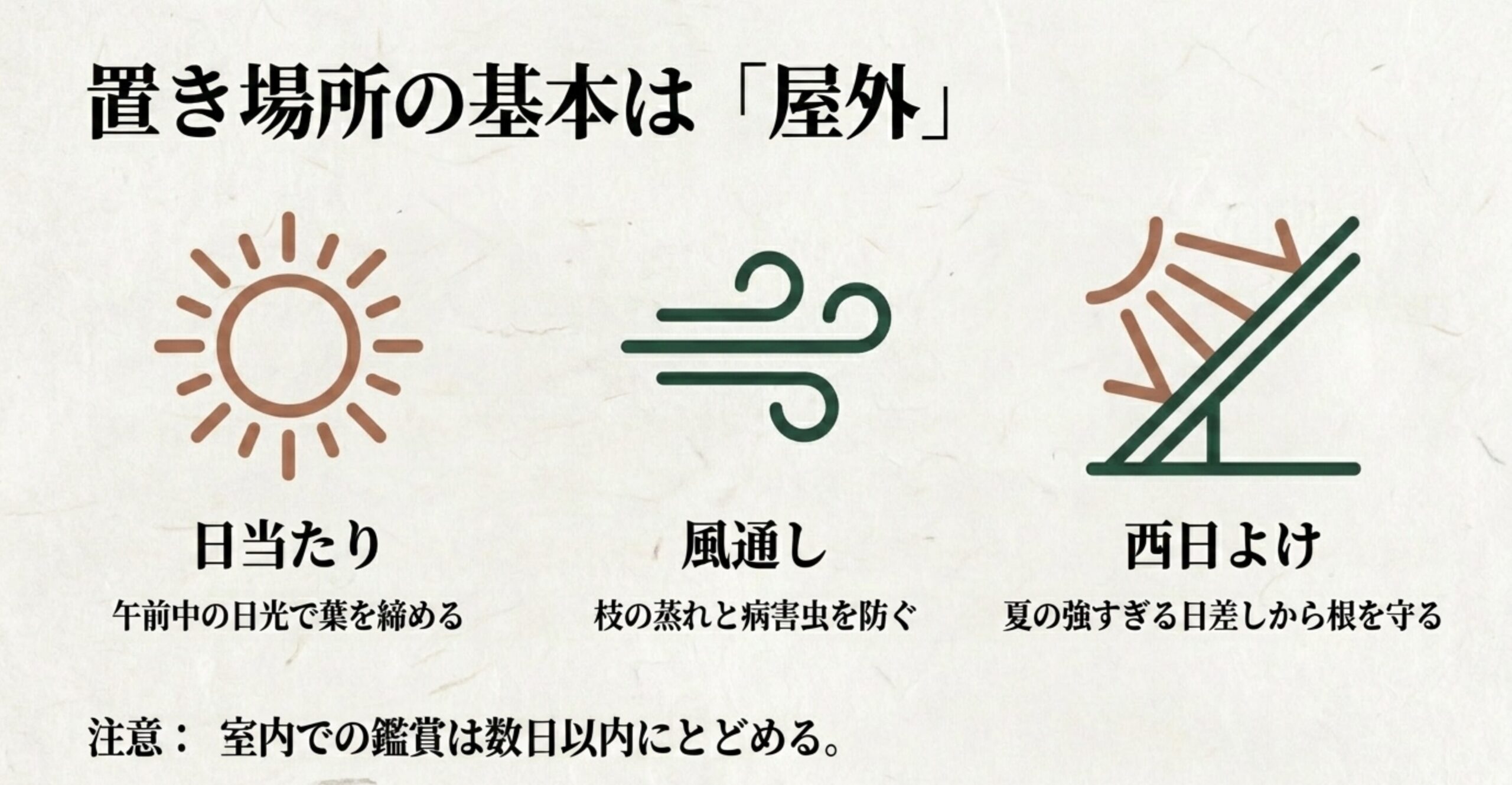 真柏盆栽の置き場所の基本である日当たり、風通し、西日よけの重要性を解説した図