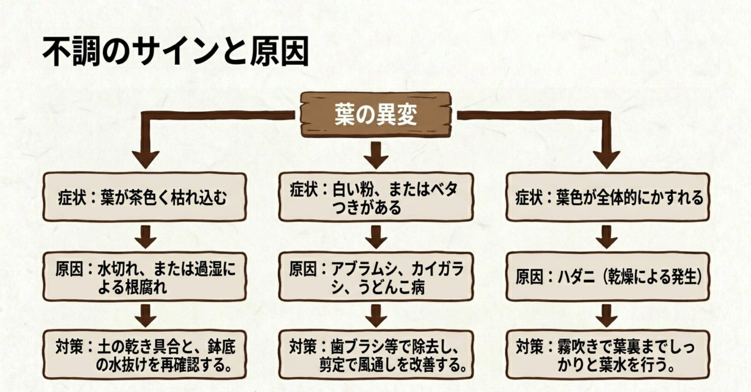 真柏盆栽の葉の茶色枯れ込み、白い粉やベタつき、全体的なかすれなど、葉の異変から考えられる原因と対策のフローチャート