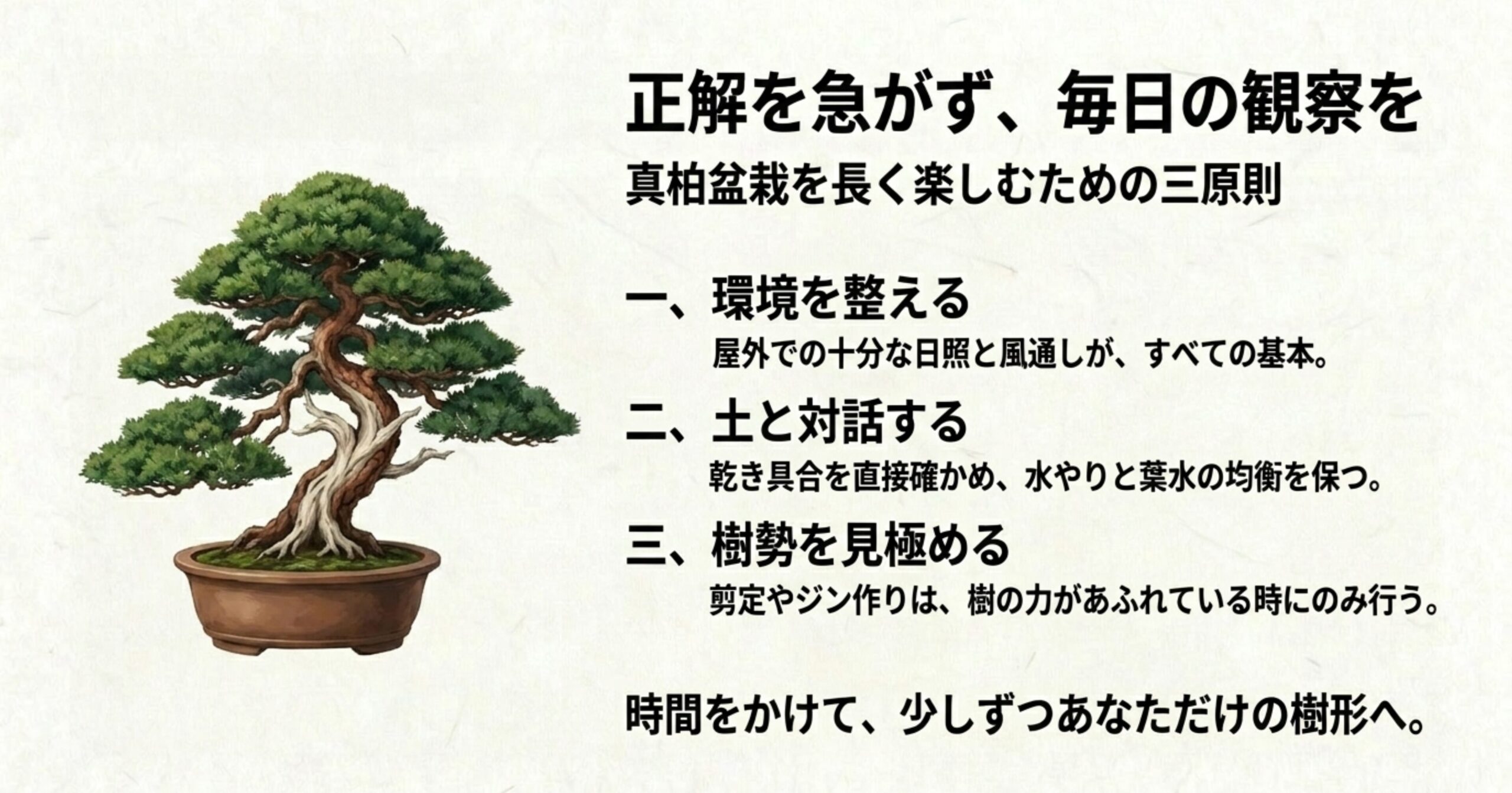 真柏盆栽を長く楽しむための三原則である「環境を整える」「土と対話する」「樹勢を見極める」をまとめた図