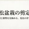錦松盆栽の剪定術、時期と樹勢を見極める荒皮の育て方と書かれたタイトルスライド