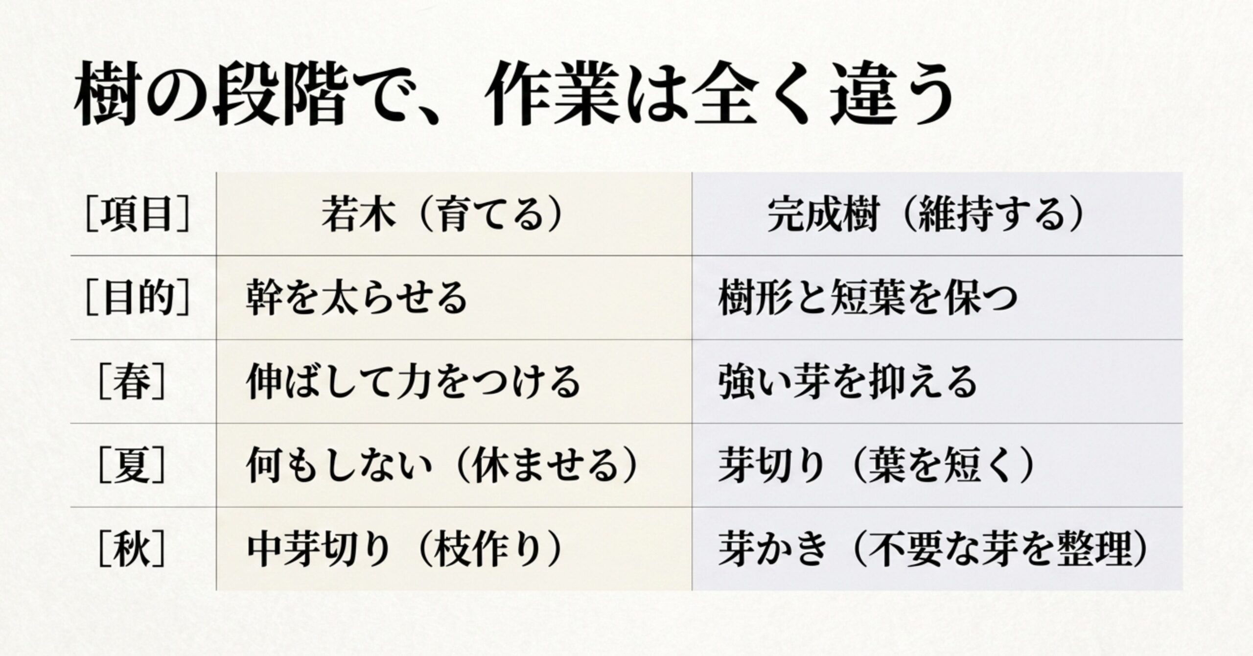 若木は幹を太らせる、完成樹は樹形と短葉を保つという目的の違いを春夏秋ごとにまとめた比較表