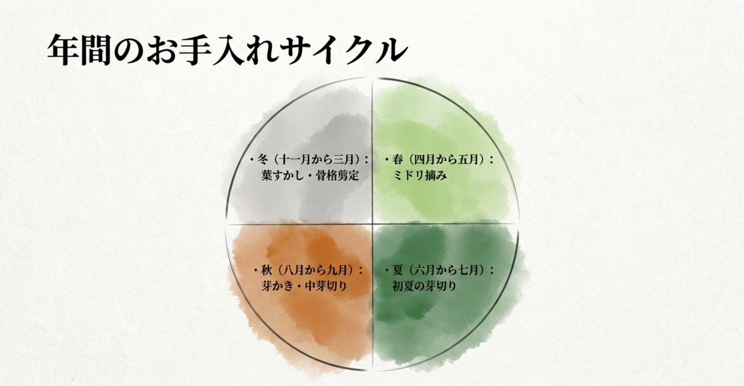 春のミドリ摘み、夏の初夏の芽切り、秋の中芽切り・芽かき、冬の葉すかし・骨格剪定をまとめた年間サイクル表