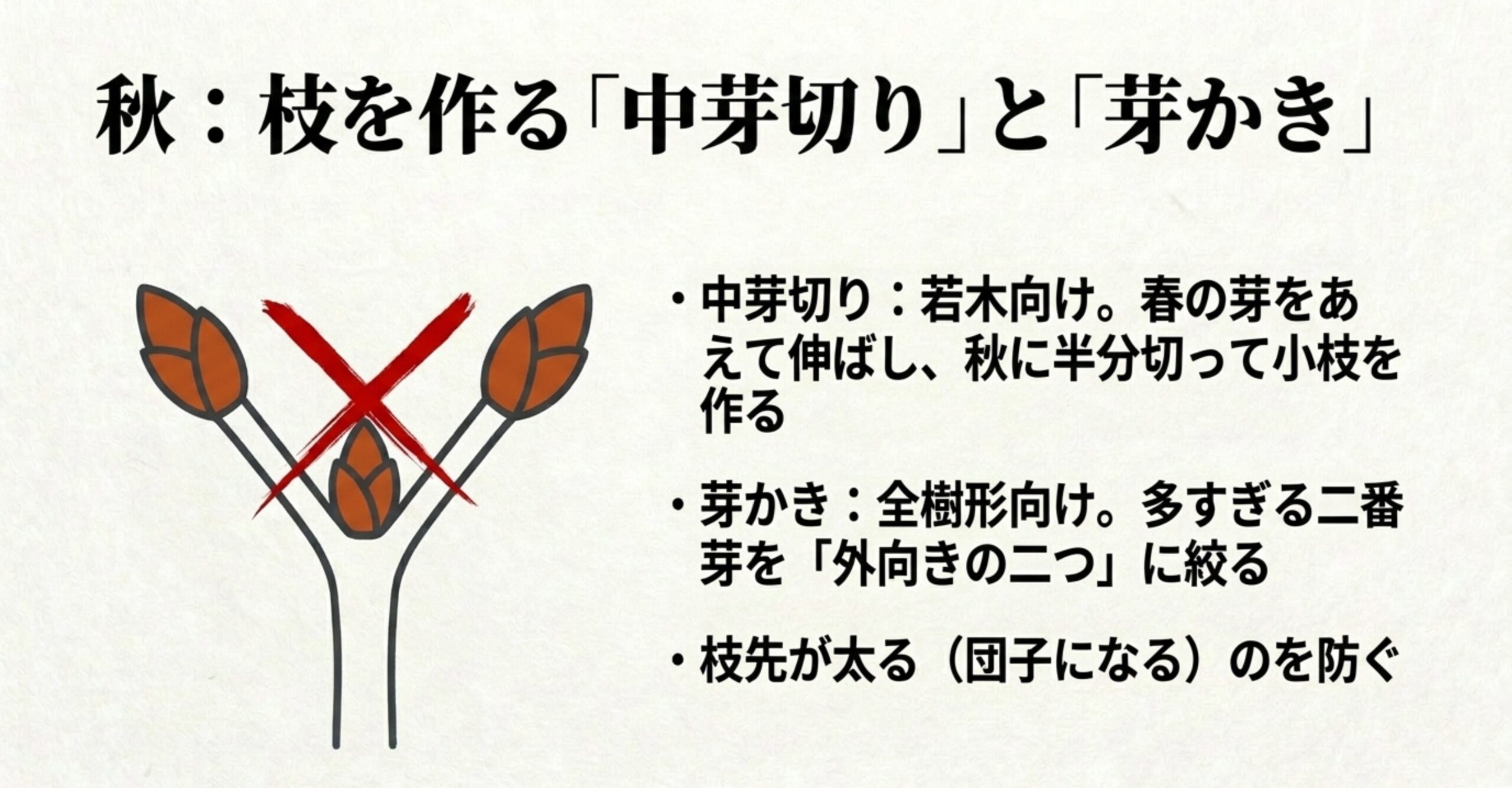 3つ出た二番芽のうち、真ん中の芽をかき取って外向きの2つにする芽かきのイラスト
