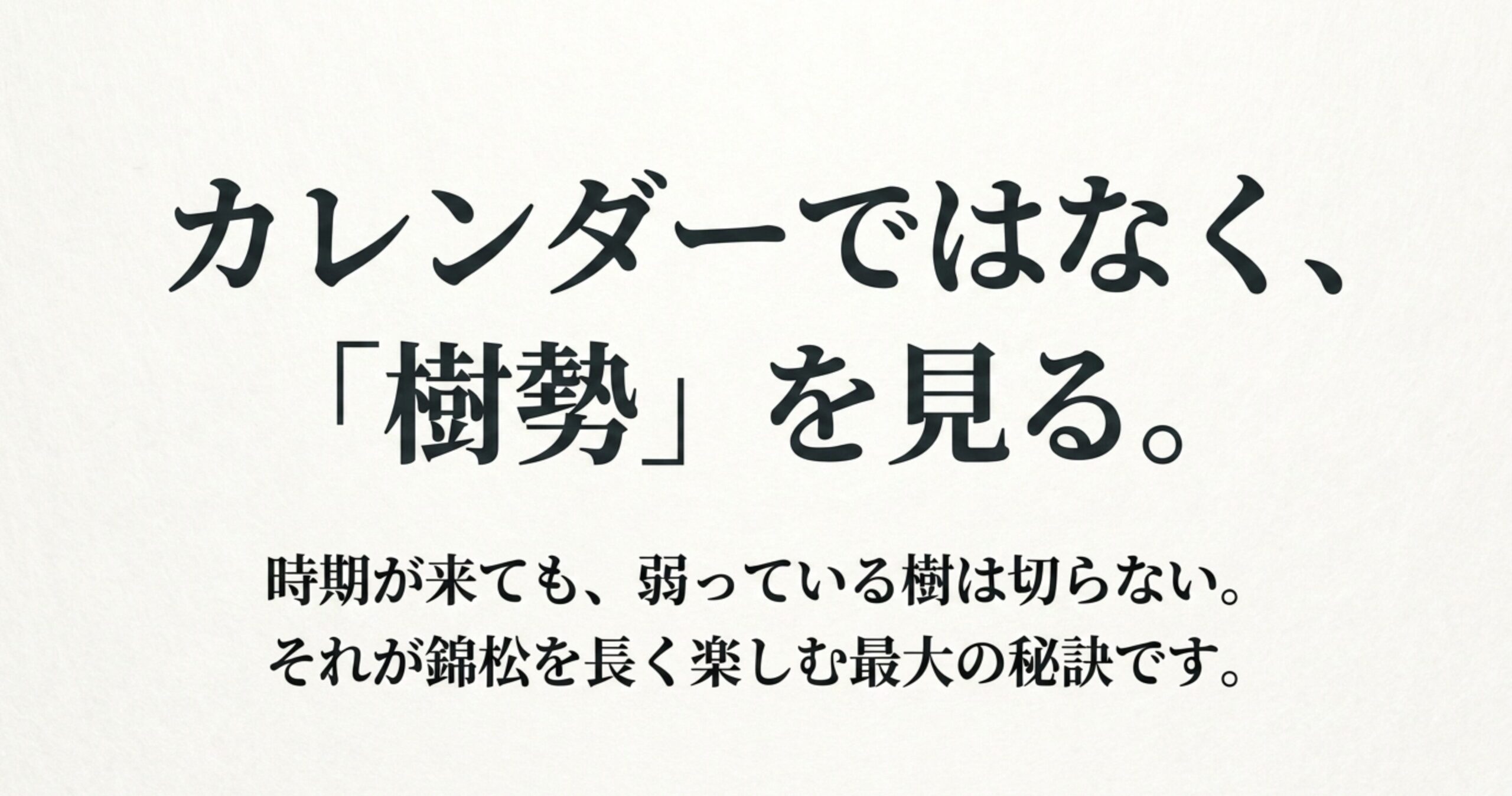カレンダーではなく樹勢を見る、時期が来ても弱っている樹は切らないという錦松を長く楽しむ秘訣の解説