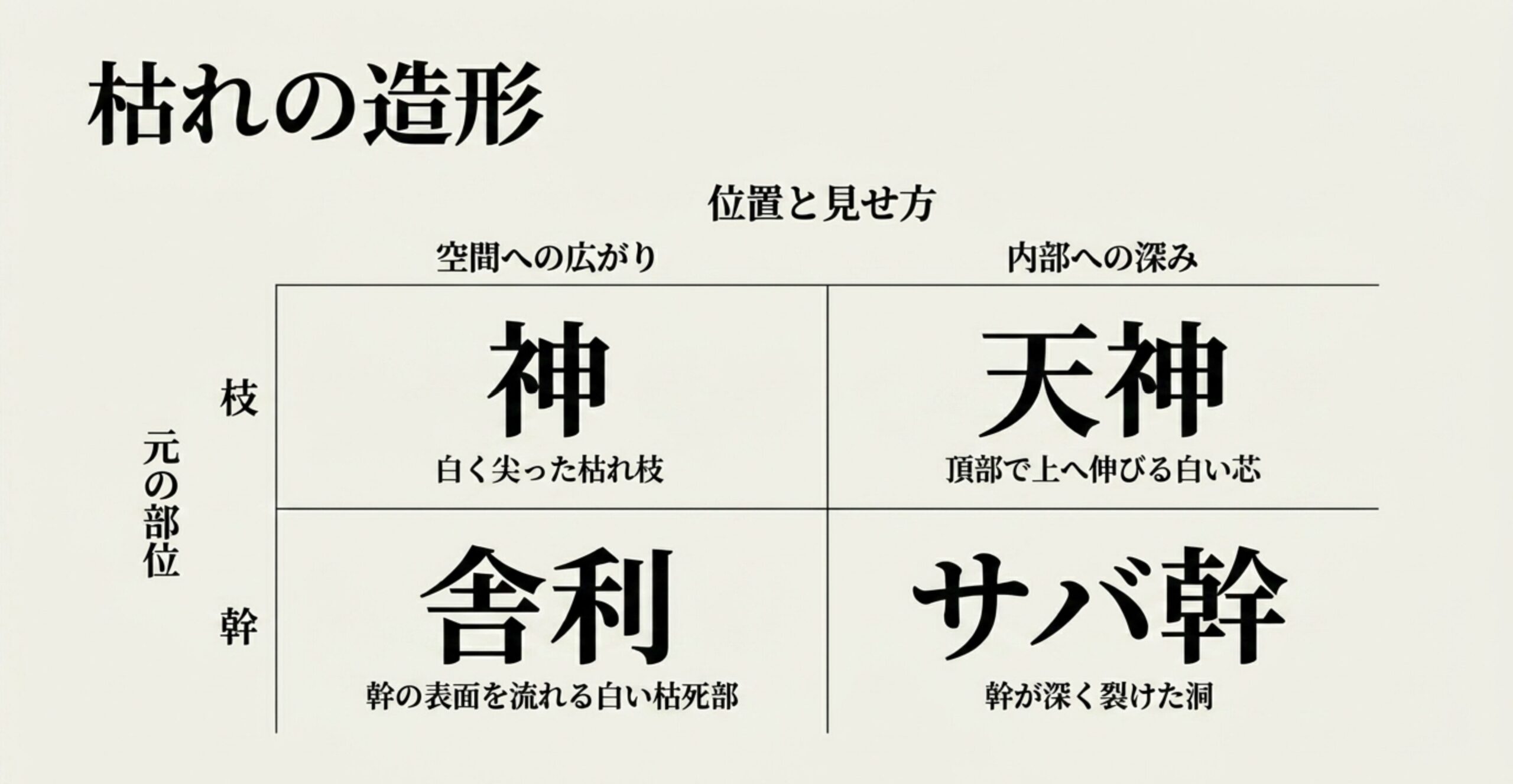 神、天神、舎利、サバ幹の違いをまとめた表。元の部位や位置、見せ方などの枯れの造形について解説。