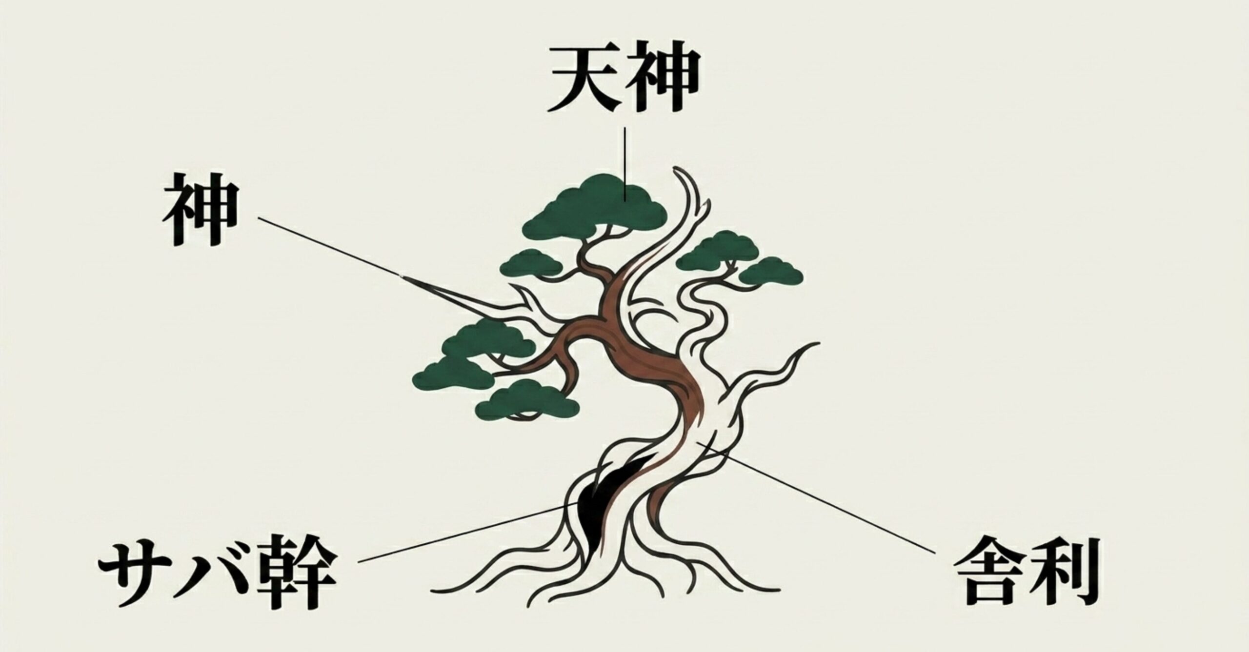 盆栽のイラストを用いた各部位の解説。天神、神、サバ幹、舎利のそれぞれの位置を図解。