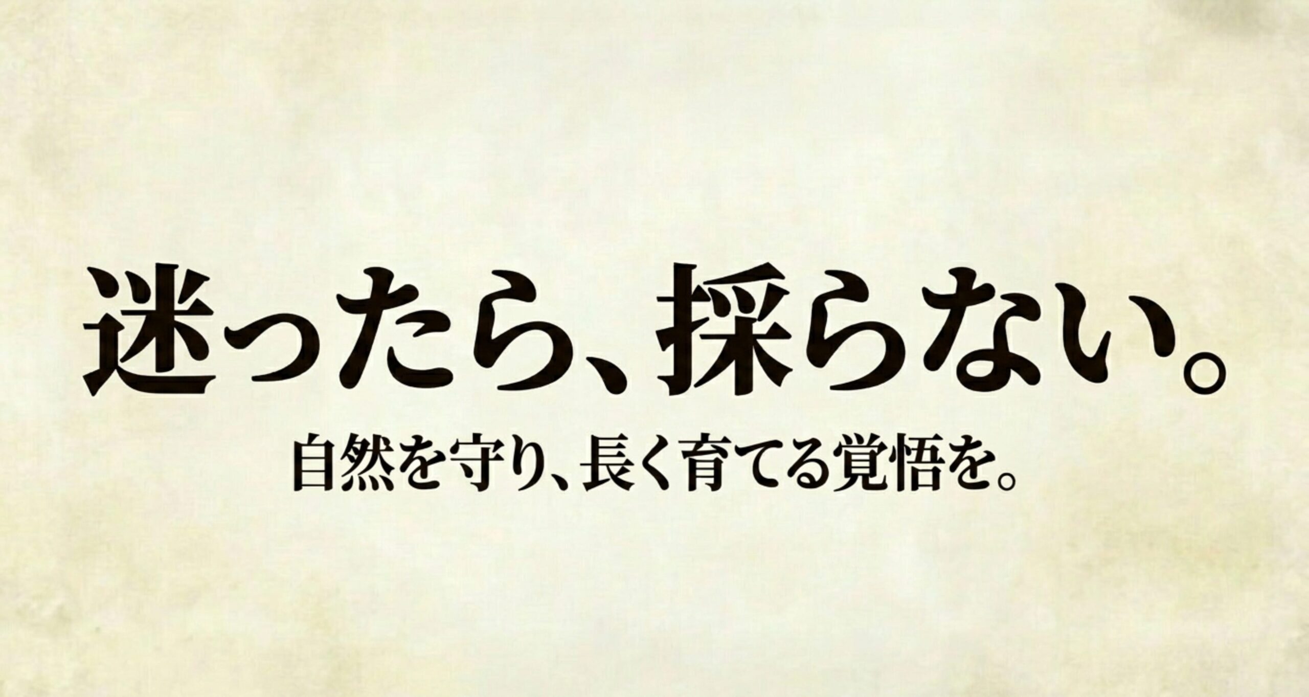 迷ったら採らない。自然を守り、預かった命を長く育てる覚悟を示すメッセージ