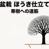 ケヤキ盆栽におけるほうき仕立ての基本と、寒樹の美しさを目指す道筋を表したタイトル画像