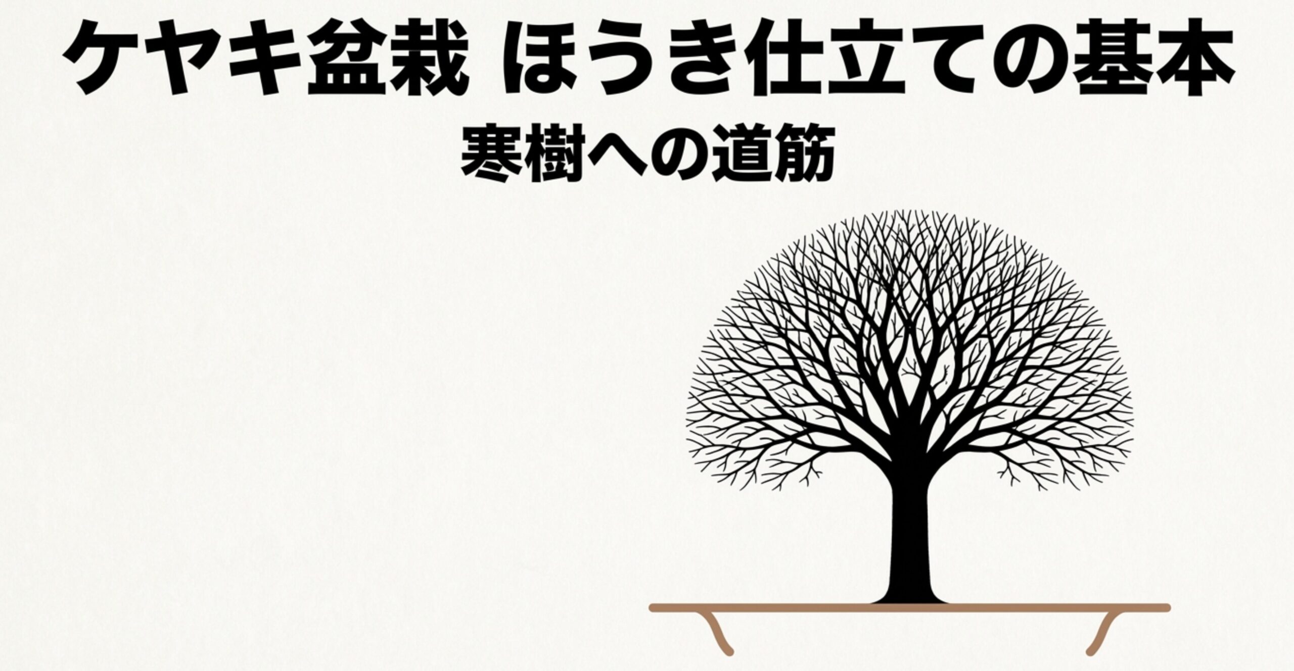 ケヤキ盆栽におけるほうき仕立ての基本と、寒樹の美しさを目指す道筋を表したタイトル画像