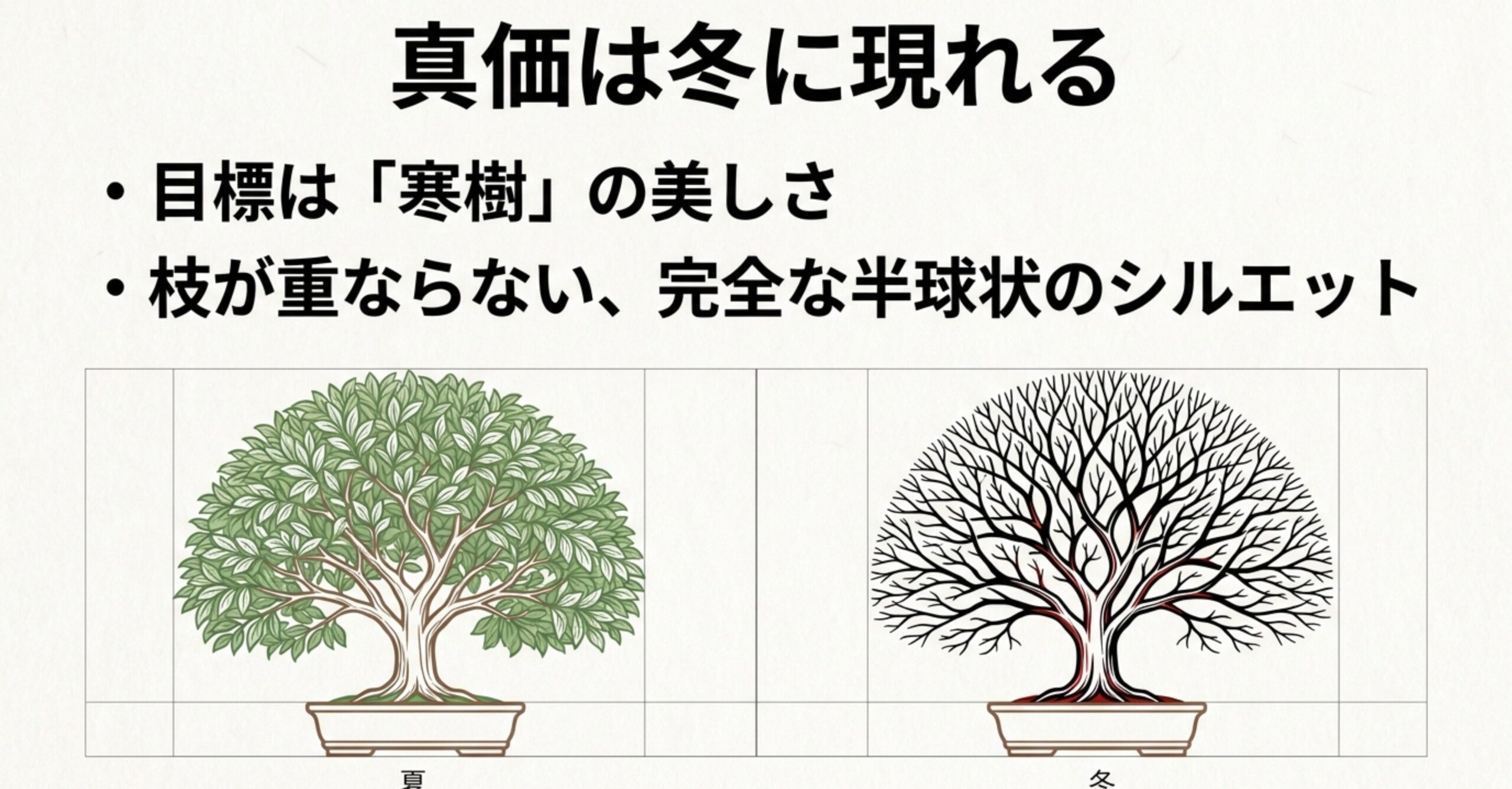 夏の葉姿と冬の寒樹を比較し、枝が重ならない美しい半球状のシルエットを解説する図解