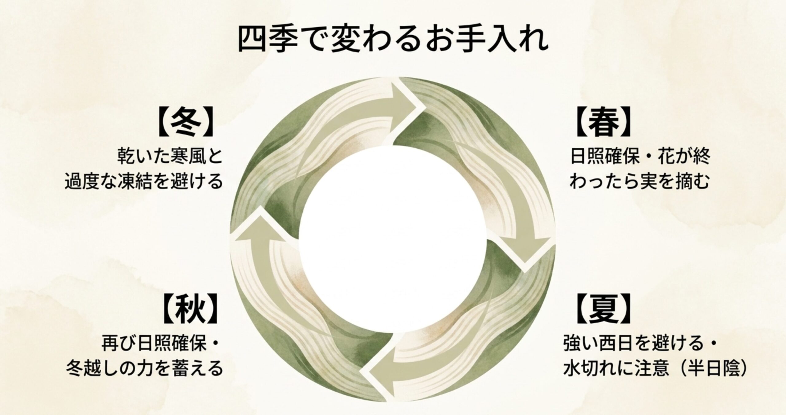 春の日照確保、夏の西日避け、秋の日照確保、冬の寒風避けなど、長寿梅盆栽の四季ごとのお手入れのポイント。
