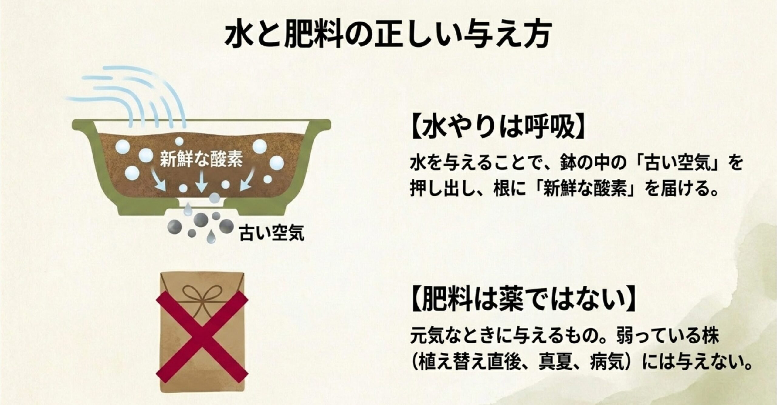 水やりで古い空気を押し出し新鮮な酸素を届ける仕組みと、肥料は薬ではなく元気な時に与えるものであるという解説。
