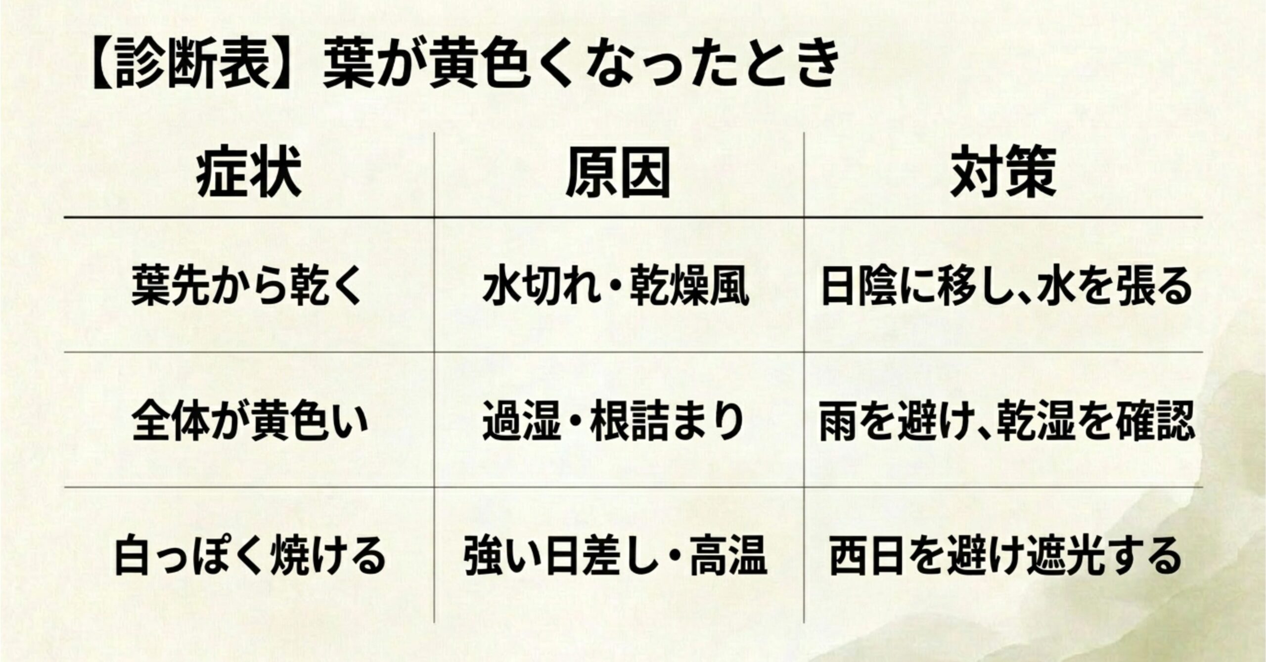 葉先から乾く水切れ、全体が黄色い過湿、白っぽく焼ける強い日差しなど、長寿梅の葉が黄色くなった原因と対策の診断表。