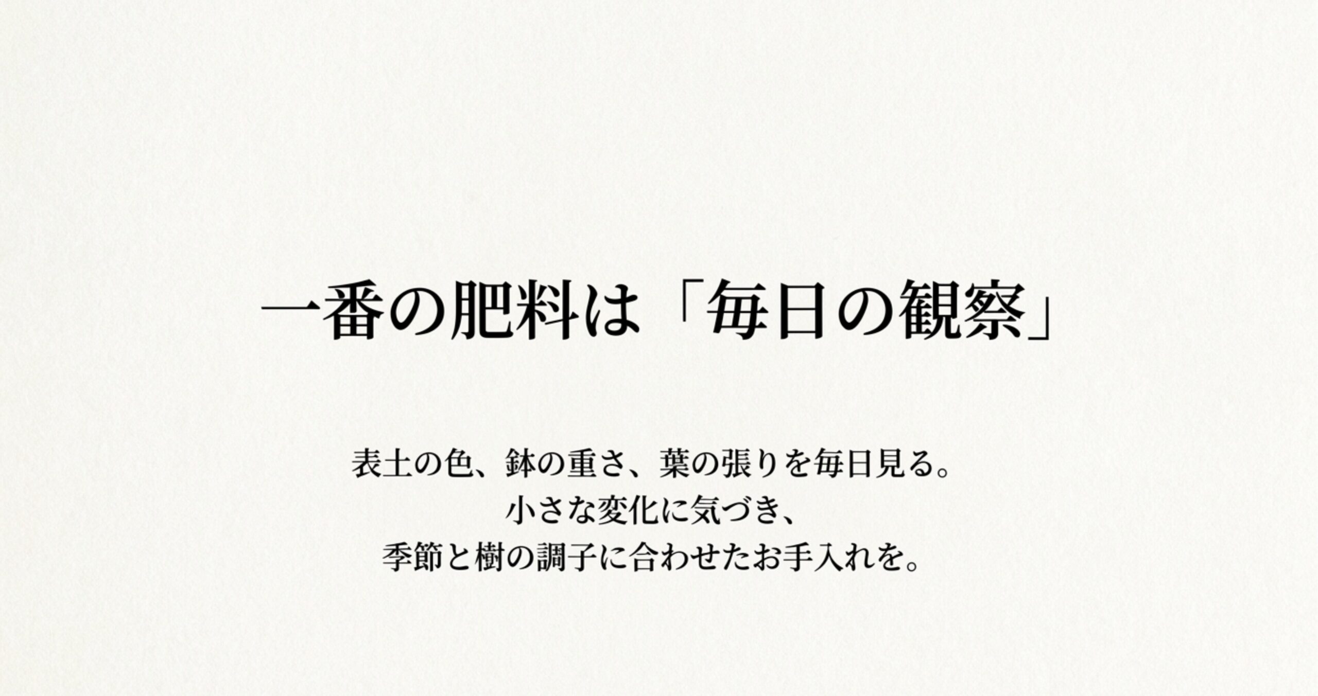 表土の色、鉢の重さ、葉の張りを毎日見て小さな変化に気づくことが、一番の肥料であるというメッセージ。