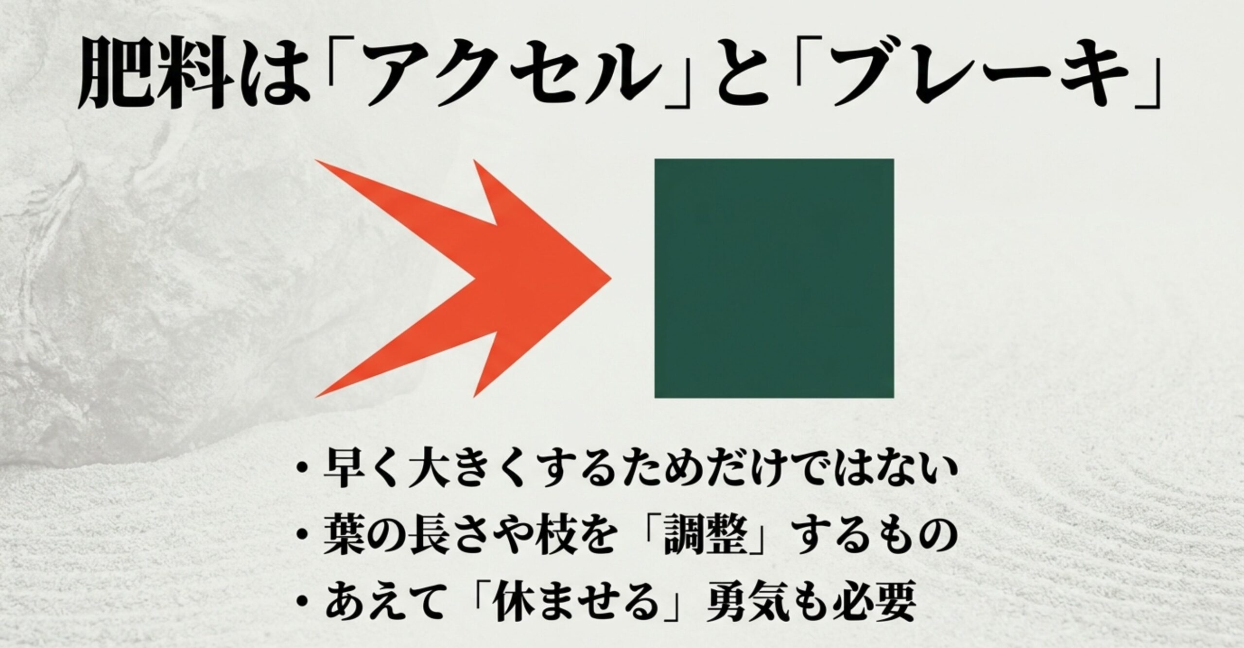 肥料はアクセルとブレーキの役割を持ち、早く大きくするためだけでなく、葉の長さや枝を調整し、あえて休ませる勇気も必要であることを解説するスライド