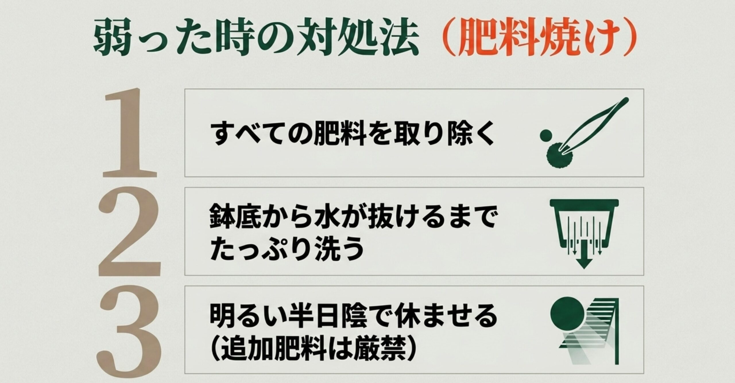 肥料焼けなどで松が弱った時の対処法として、すべての肥料を取り除く、鉢底から水が抜けるまでたっぷり洗う、明るい半日陰で休ませるという3ステップを図解したスライド
