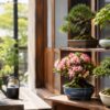 縁側の棚に並ぶ松やもみじ、サツキなどの鉢植え盆栽