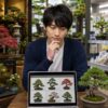 盆栽専門店やホームセンター、通販を比較して購入先を選ぶ初心者