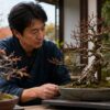 花芽の状態を確認して桜盆栽の植え替え時期を判断する様子