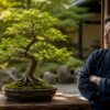 もみじ盆栽の根張りや幹、枝のバランスを確認する日本人男性