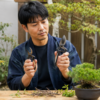 剪定鋏の大きさと握りやすさを比較する日本人男性
