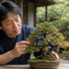 葉が茶色くなった盆栽の状態を確認する日本人男性