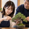 盆栽教室で日本人講師の指導を受けながら松の盆栽を手入れする初心者の女性